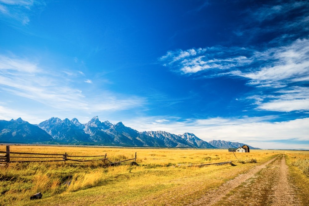 a dirt road in a field with mountains in the background.