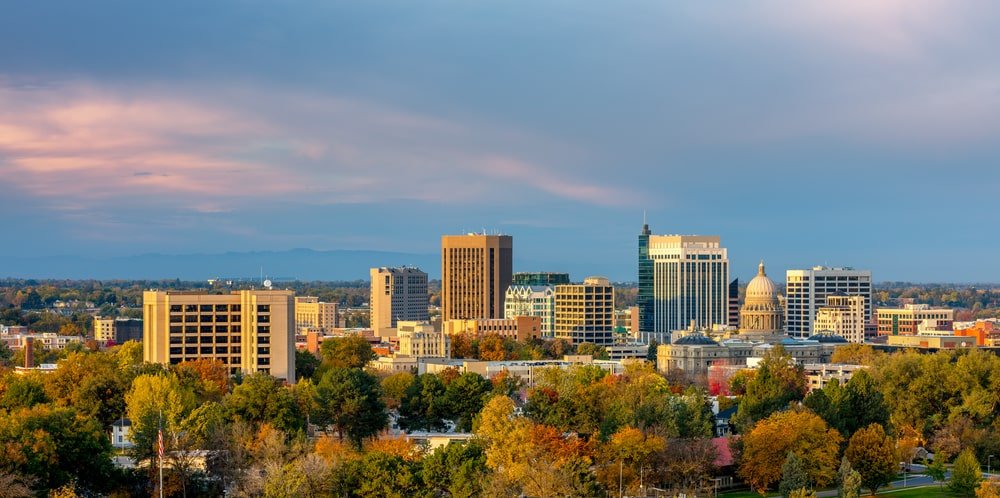 a view of a city with trees in the foreground.