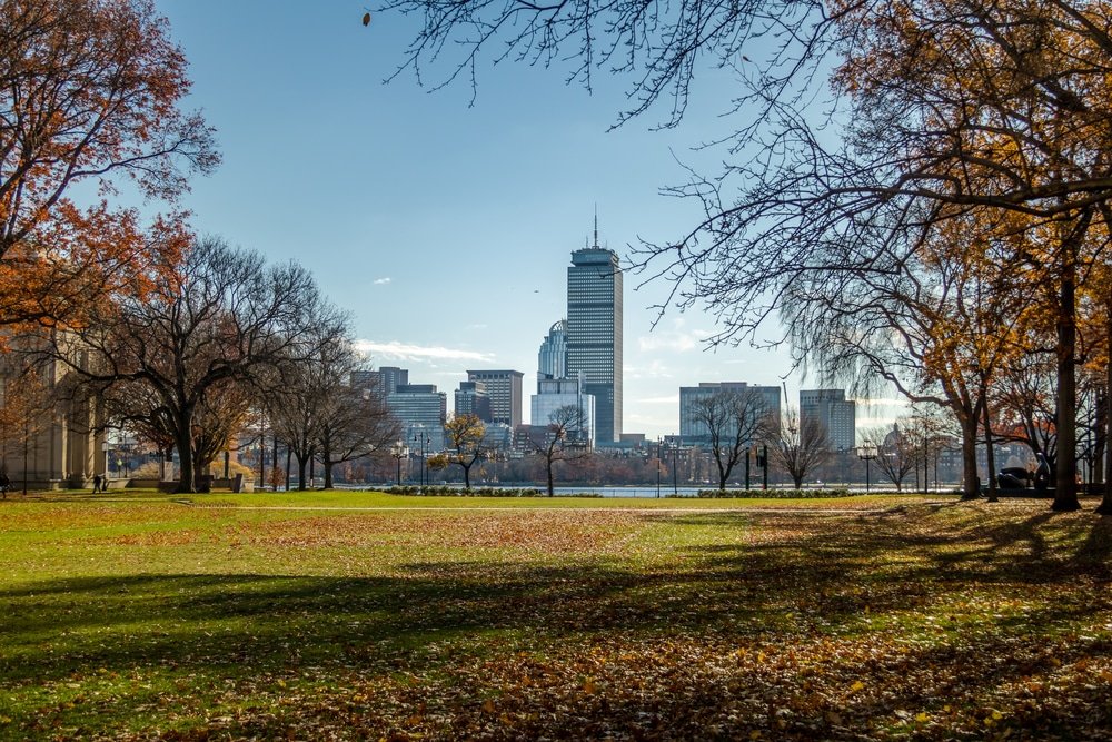 a view of a city skyline from a park.