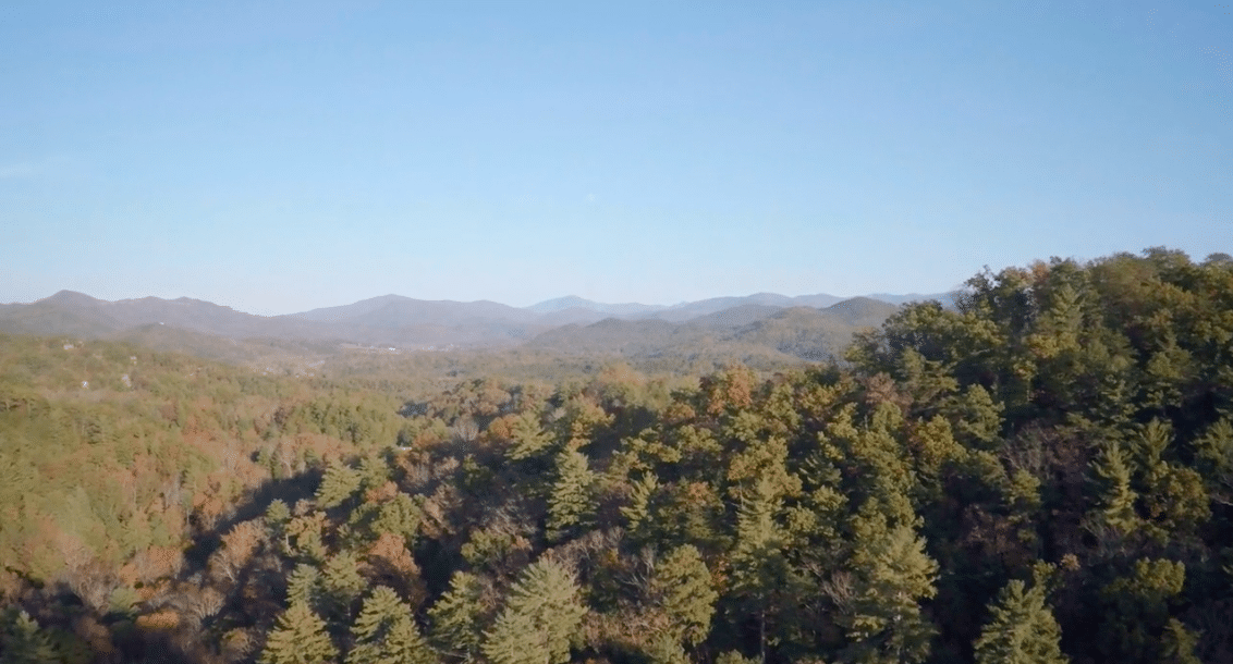a view of a forest with mountains in the distance.