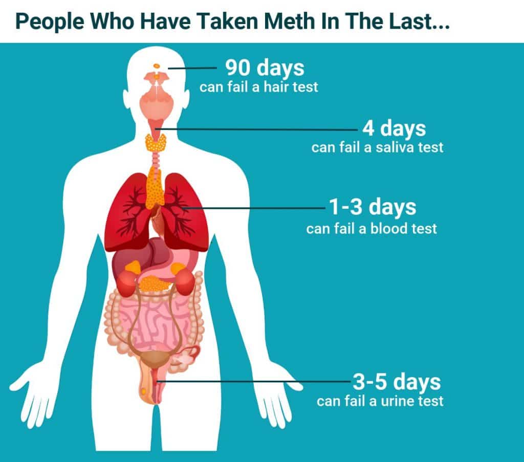 How Long Does Meth Stay in Your System? (Urine, Blood, Hair, and Saliva)