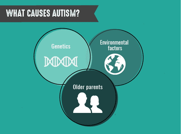 latest research on what causes autism