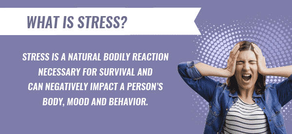 Stress Disorder | Types of Stress, Risk Factors and Effects | Learn More