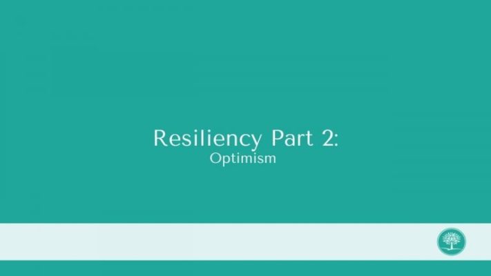 the cover of the book resilincy part 2 optimism.