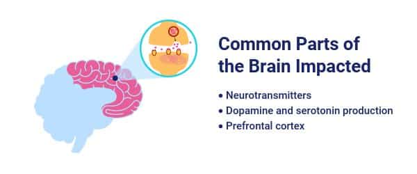 neurotransmitters in the brain drugs