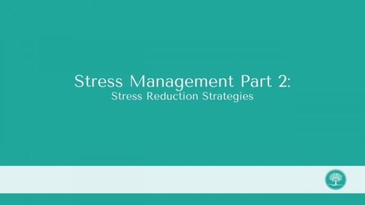 the cover of a book with the words stress management part 2.