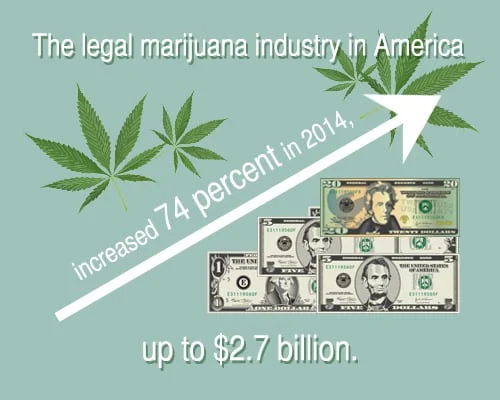 Line chart expressing the growth of the marijuana industry
