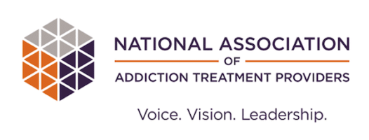 the logo for the national association of addiction treatment providence.