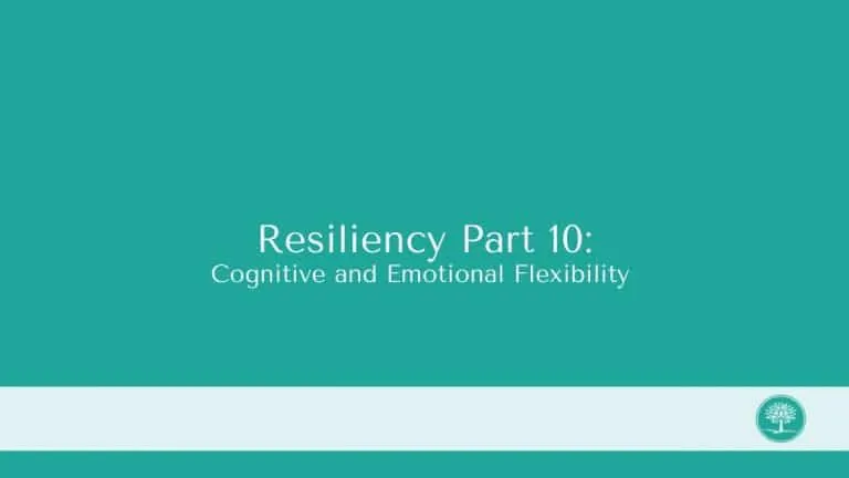 Resiliency Part 10 768x432 1