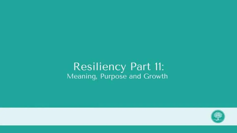 Resiliency Part 11 768x432 1